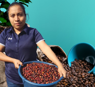  Artisanal process and tasting of the best coffee in the world