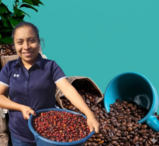 Artisanal process and tasting of the best coffee in the world