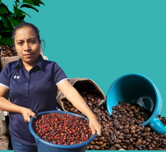 Artisanal process and tasting of the best coffee in the world